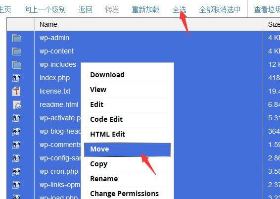 移动WordPress文件