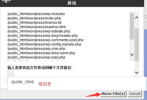 移动到网站根目录下