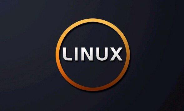 美国虚拟主机大都使用Linux操作系统的原因