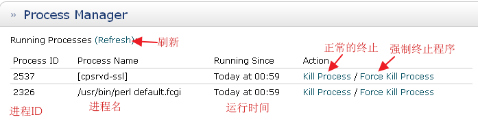 hostmonster process manager