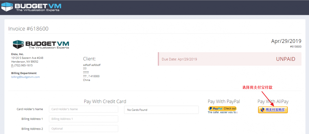 BudgetVM付款界面