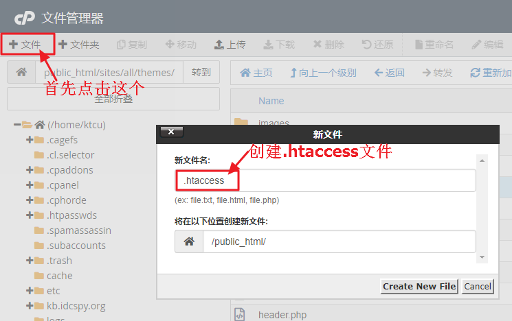 .htaccess文件在哪里？.htaccess文件如何创建？