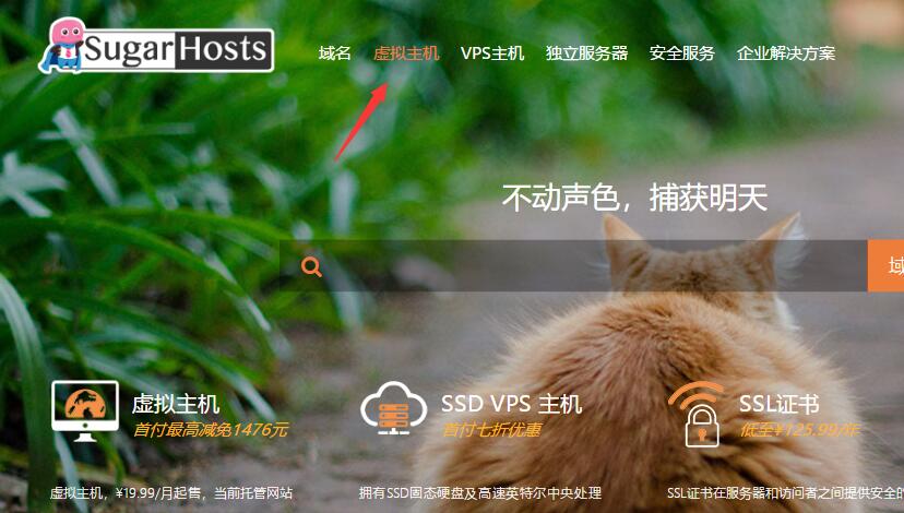 2024年Sugarhosts糖果主机最新购买教程