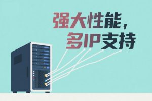 美国多IP站群服务器租用评测
