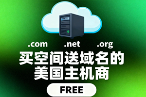 买空间送域名的美国主机商