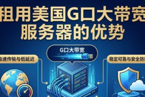 美国G口大带宽服务器优势