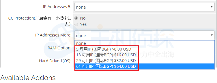 美国站群服务器IP价格