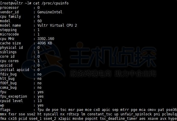 Vultr CPU性能参数图