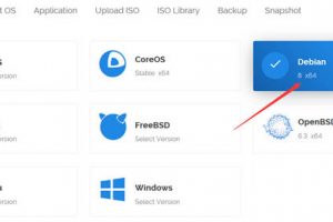 Vultr系统的安装