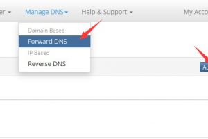 BudgetVM账户申请DNS服务教程