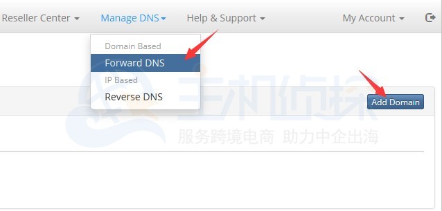 BudgetVM账户申请DNS服务教程