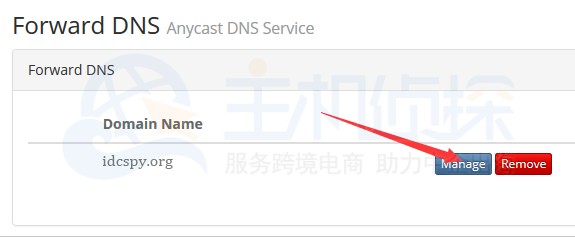 BudgetVM账户申请DNS服务教程
