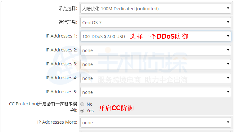 RAKsmart开启CC防御