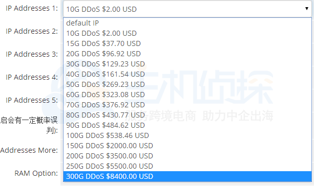 RAKsmart DDoS价格表