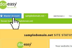 Doteasy主账户的设置教程