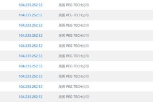 RAKsmart E3 1230方案PING速度测试
