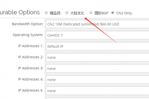 RAKsmart美国服务器四种线路