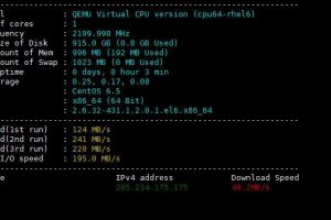 Virmach VPS IO读写速度测试
