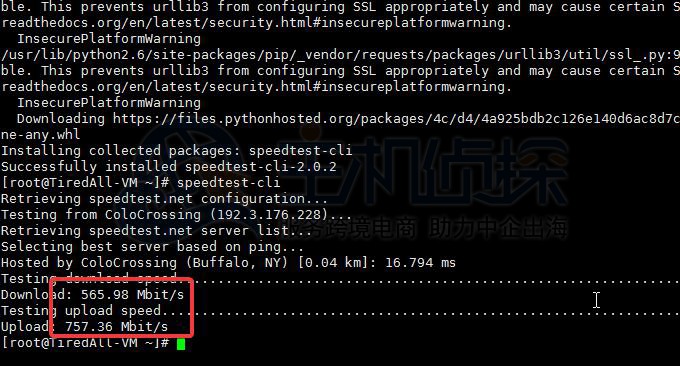 Virmach 水牛城VPS主机的带宽