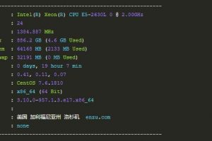 独立服务器基本信息图