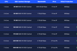 RackNerd DDoS Protected KVM VPS方案