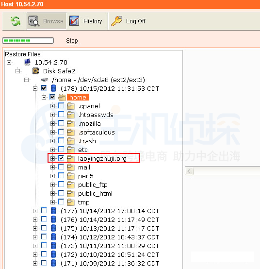 cpanel面板文件夹