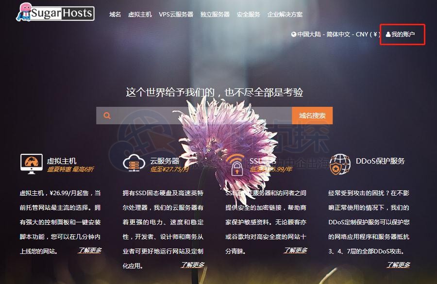 SugarHosts糖果主机账户登录