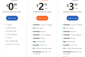 Hosting24虚拟主机