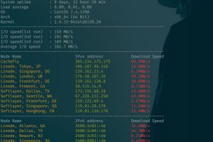 BudgetVM主机测试