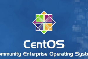 RAKsmart美国服务器更改CentOS系统语言