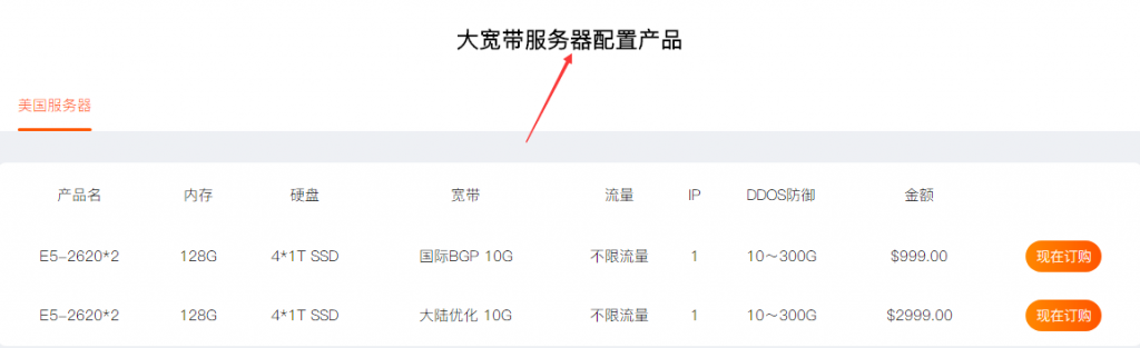 RAKsmart大带宽服务器
