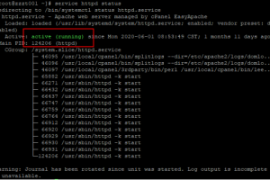 查看服务是否正常