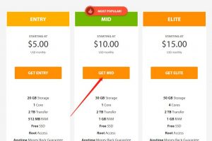 A2Hosting VPS购买图文教程