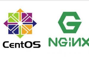 RAKsmart美国服务器CentOS7系统安装Nginx