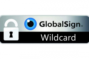 GlobalSign通配符证书