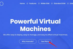 Hostodo VPS购买方法