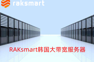 https://zhujiceping.pages.dev/raksmart.html