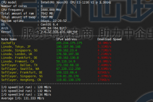 RAKsmart美国高防服务器IO性能