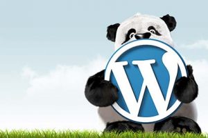 WordPress后台无法在线安装主题和插件