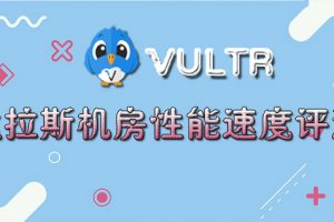 Vultr达拉斯机房