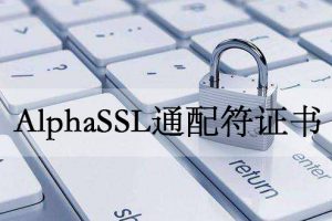 AlphaSSL通配符证书