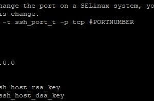 修改端口配置文件