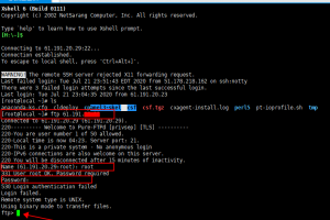 Linux下登录FTP服务器教程步骤