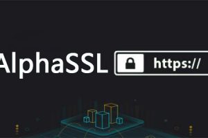 AlphaSSL证书