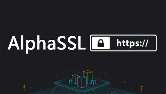 AlphaSSL证书