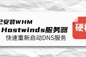已安装WHM的Hostwinds服务器如何快速重新启动DNS服务