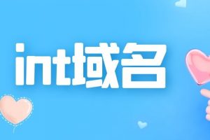 int域名