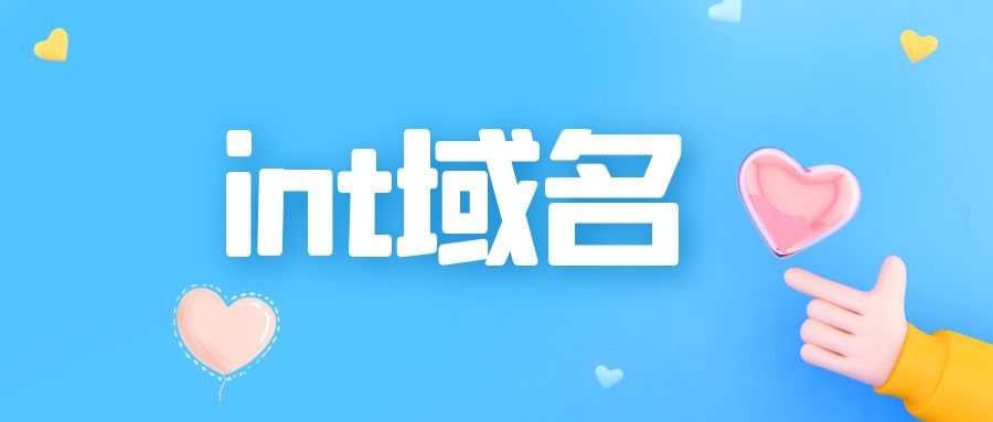 int域名