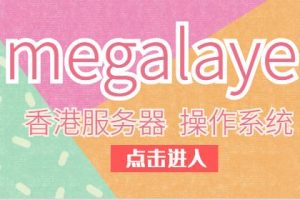 megalayer香港服务器操作系统的选择