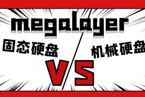 megalayer香港服务器硬盘